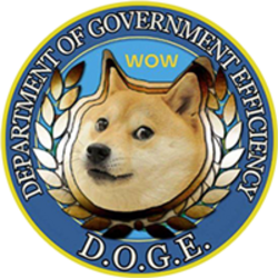 Department Of Government Efficiency